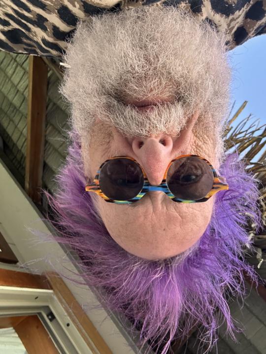 Cohen of ugliness 