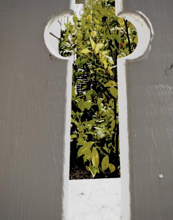 Slit Garden 