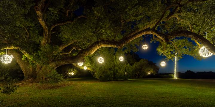 Assignment #11: Lanterns of the Fairy Tree