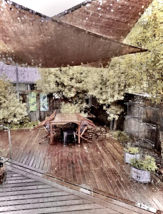 Dream Garden 