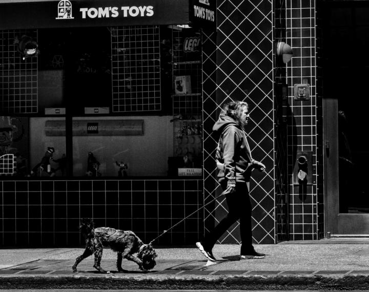 Walking the Dog