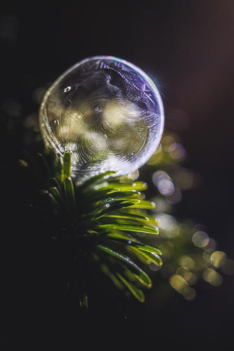 Frozen soap bubbles 🫧