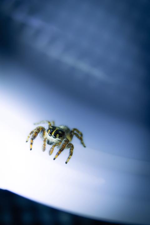 Assignment #12: Escape into the light