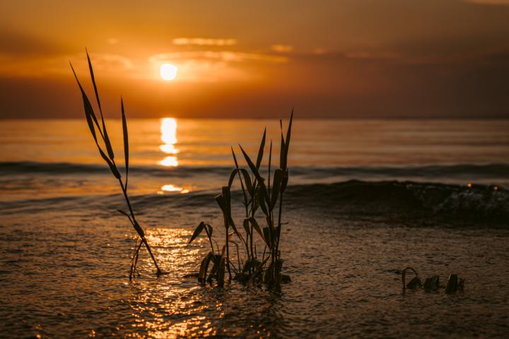 Assignment #15: Golden hour