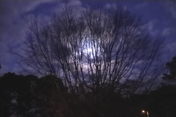 Moon Shots