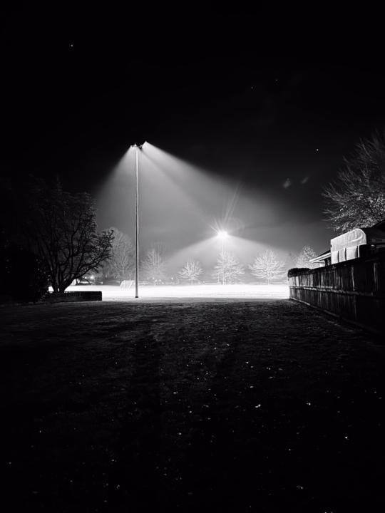 Assignment #15: The Delightful Moment