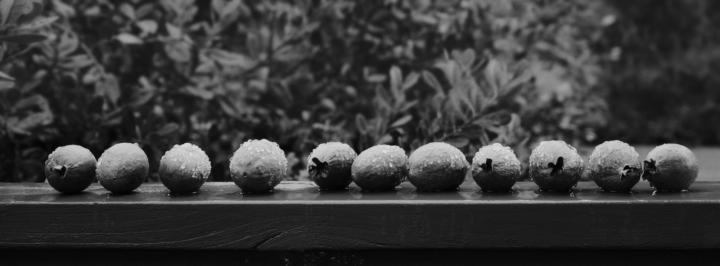 Assignment #11: Family Photo