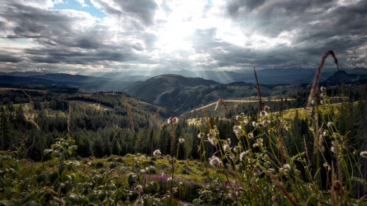 Assignment #11: "Italian highlands"