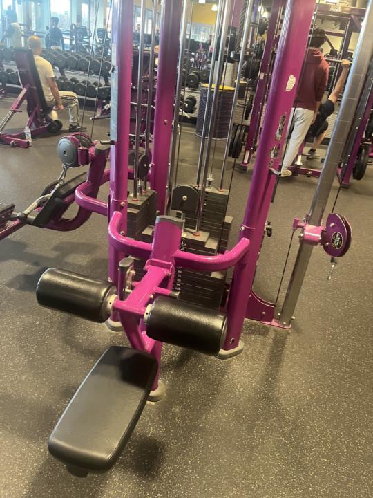 Back & Abs Day — Build the Discipline First 