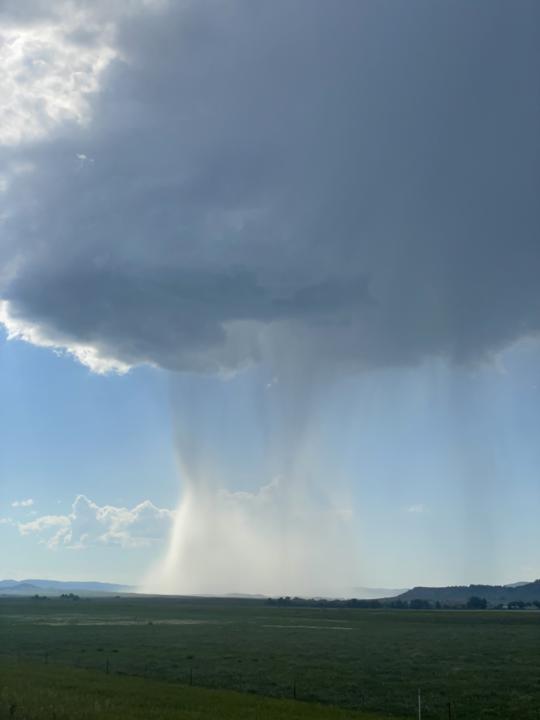 Rain Bomb Dream 3/17/26