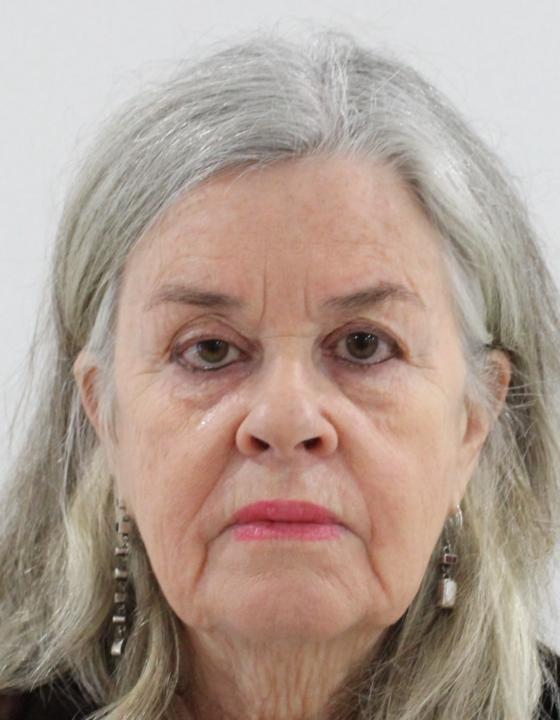 Diana Plater