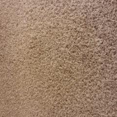 Aleksandar Milutinovic