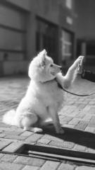 Маралмаа Жавхлан