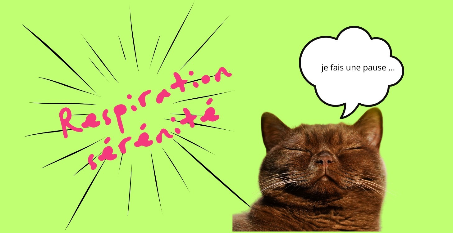Respiration Sérénité