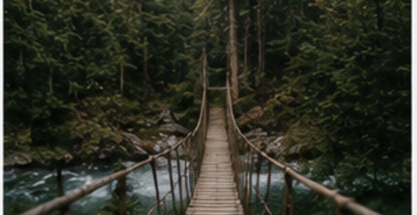 My lifestyle changes 🌲