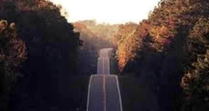 The Will and The Way Forward