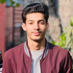 Amir Hussain
