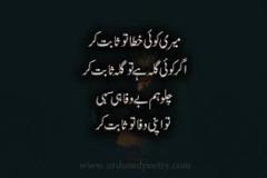 Hamna Ayoub