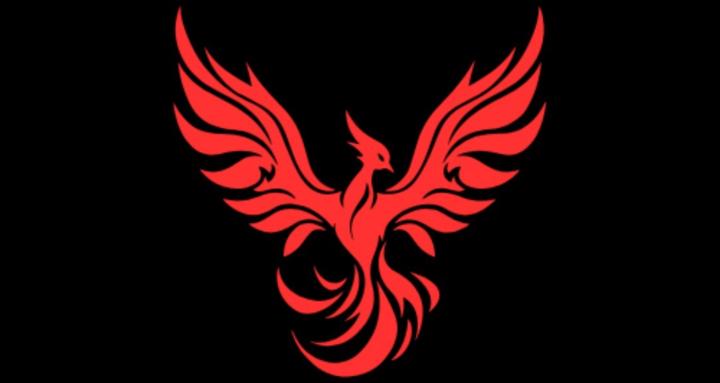 J'ARRÊTERAI DEMAIN / VIP.