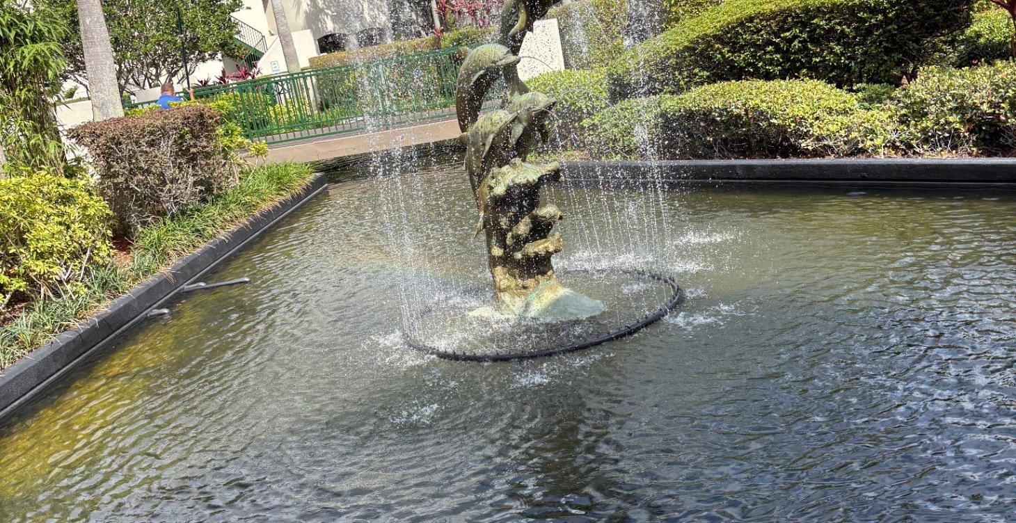 Water Safety in Winter