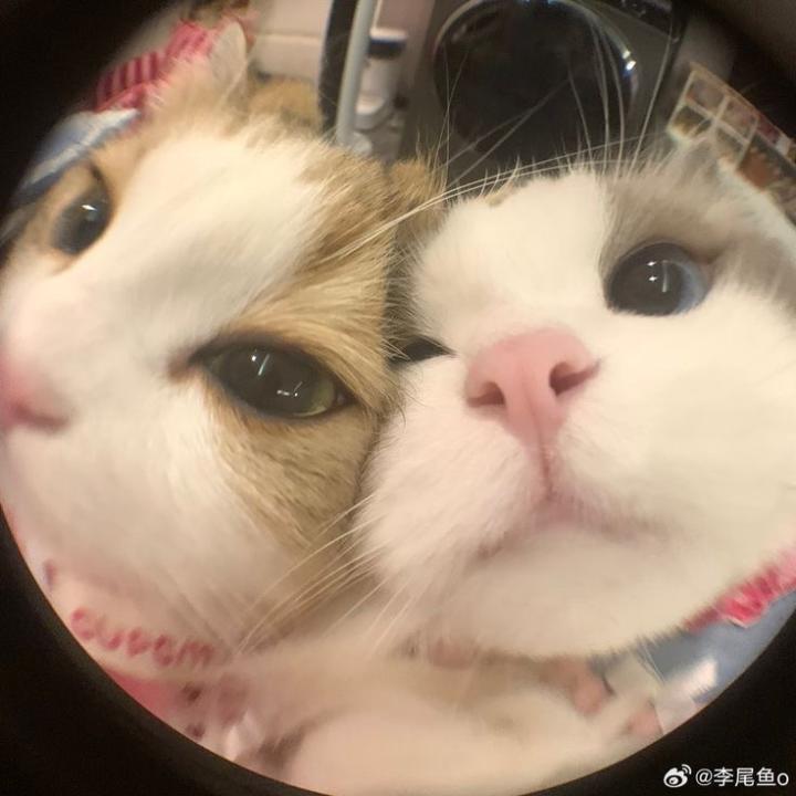 ㅇ ㅇ