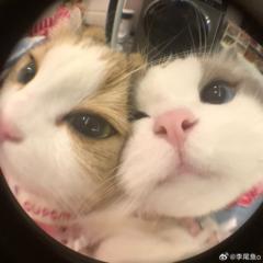 ㅇ ㅇ