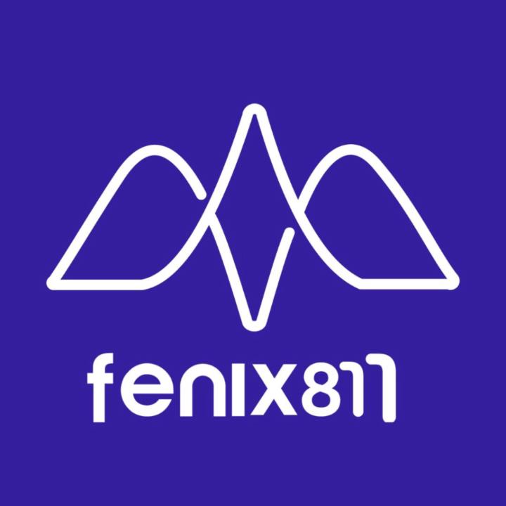 Agencia Fenix