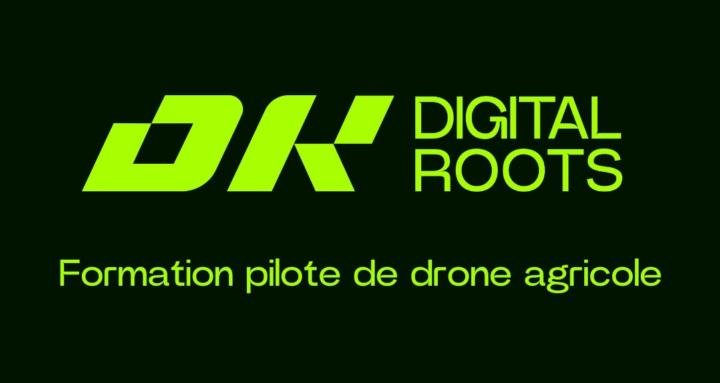 Formations Digitalroots