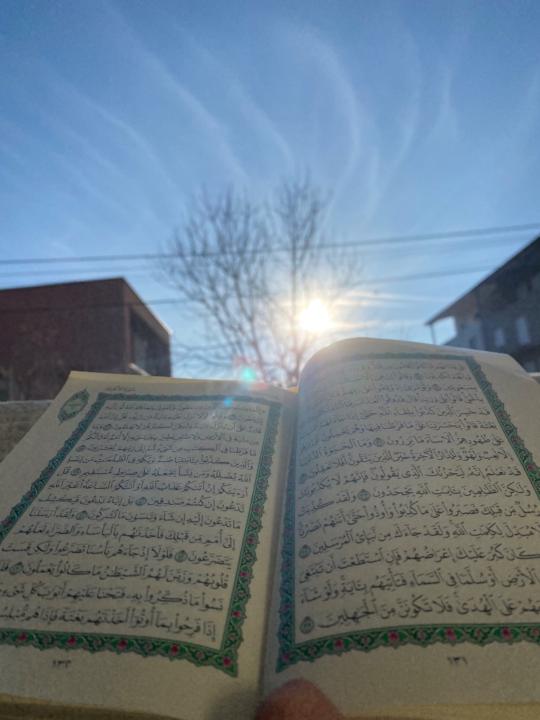 Merdian Qerimi