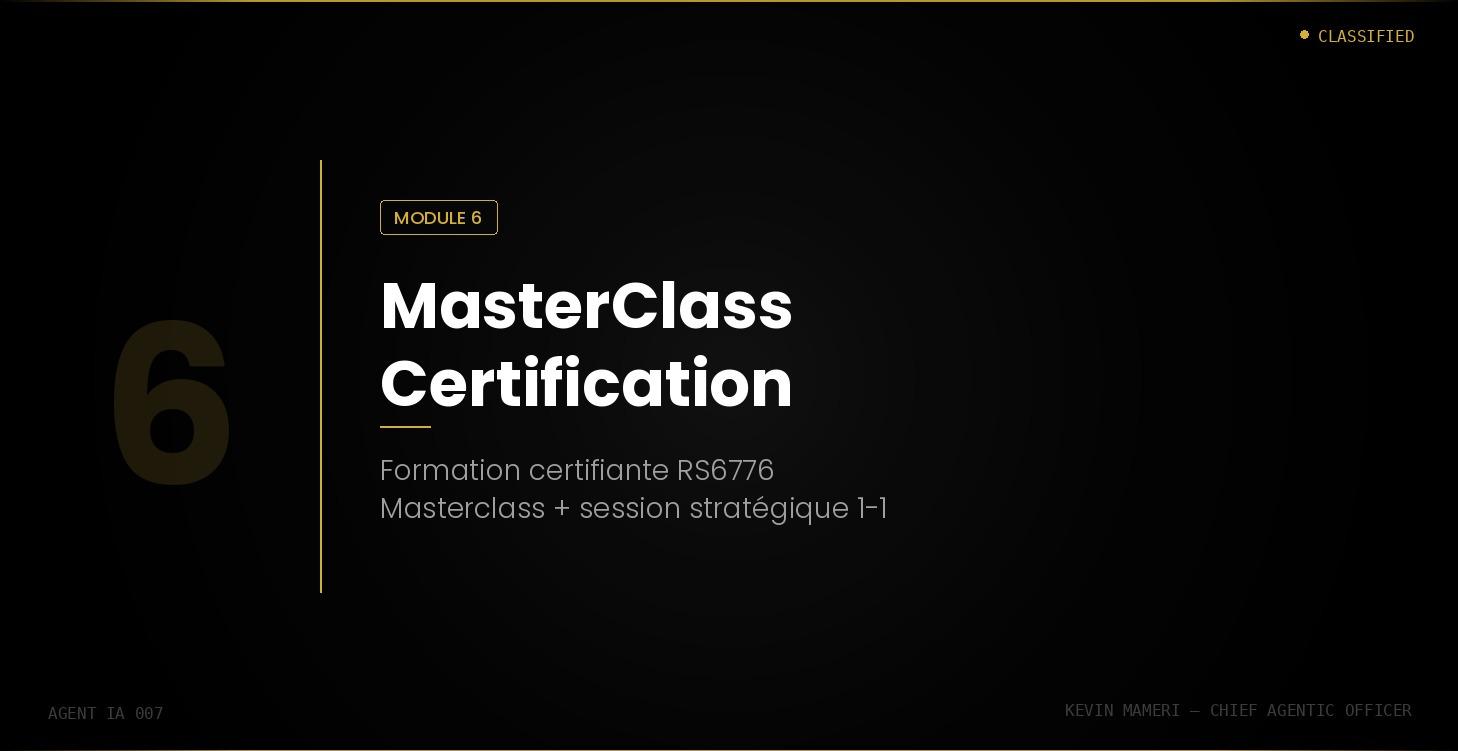VI. MasterClass - Certification + Coaching (fermé)
