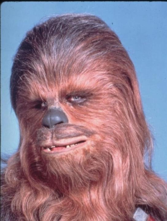 Chewwie Cheet