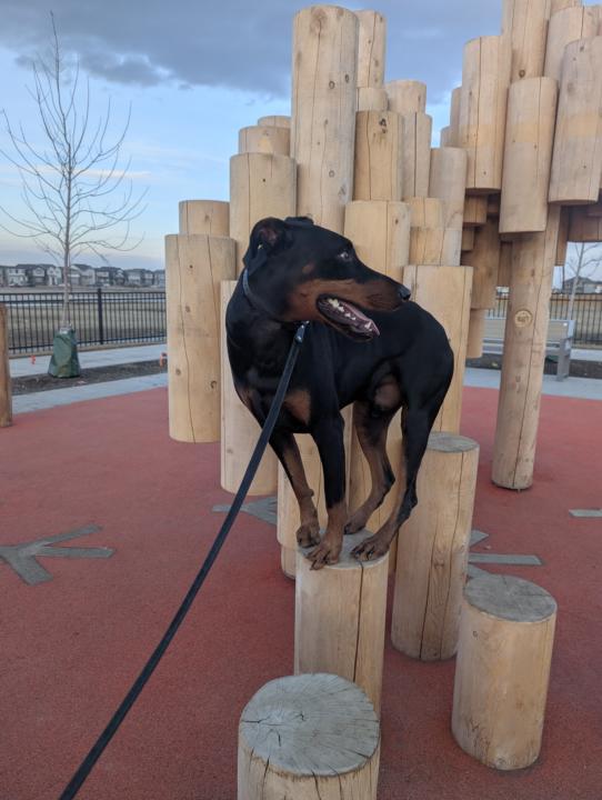 Playground fun