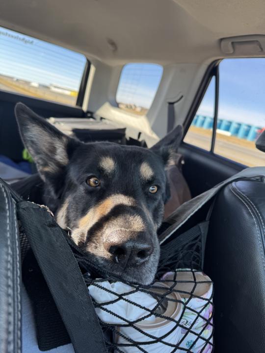 Overnight Edmonton Trip