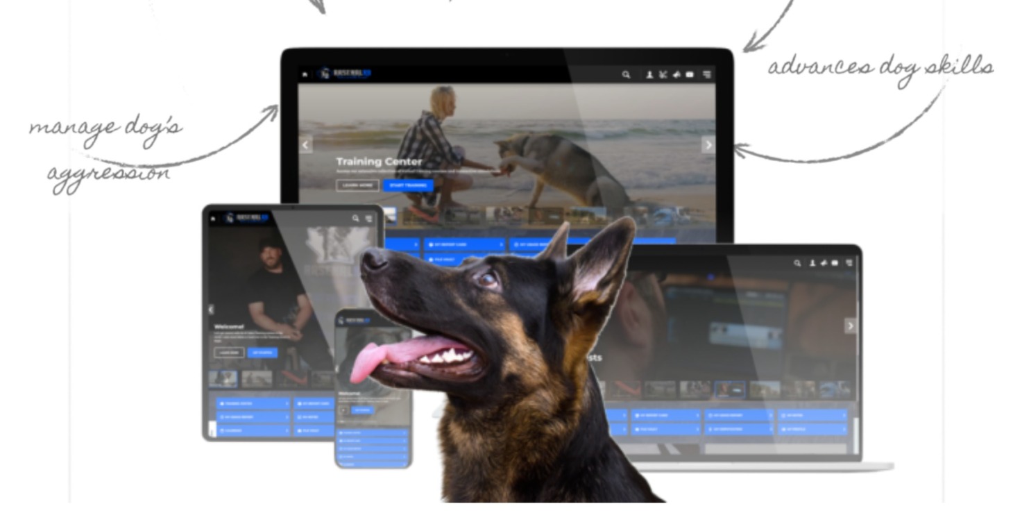 Dog Trainers Business Developement