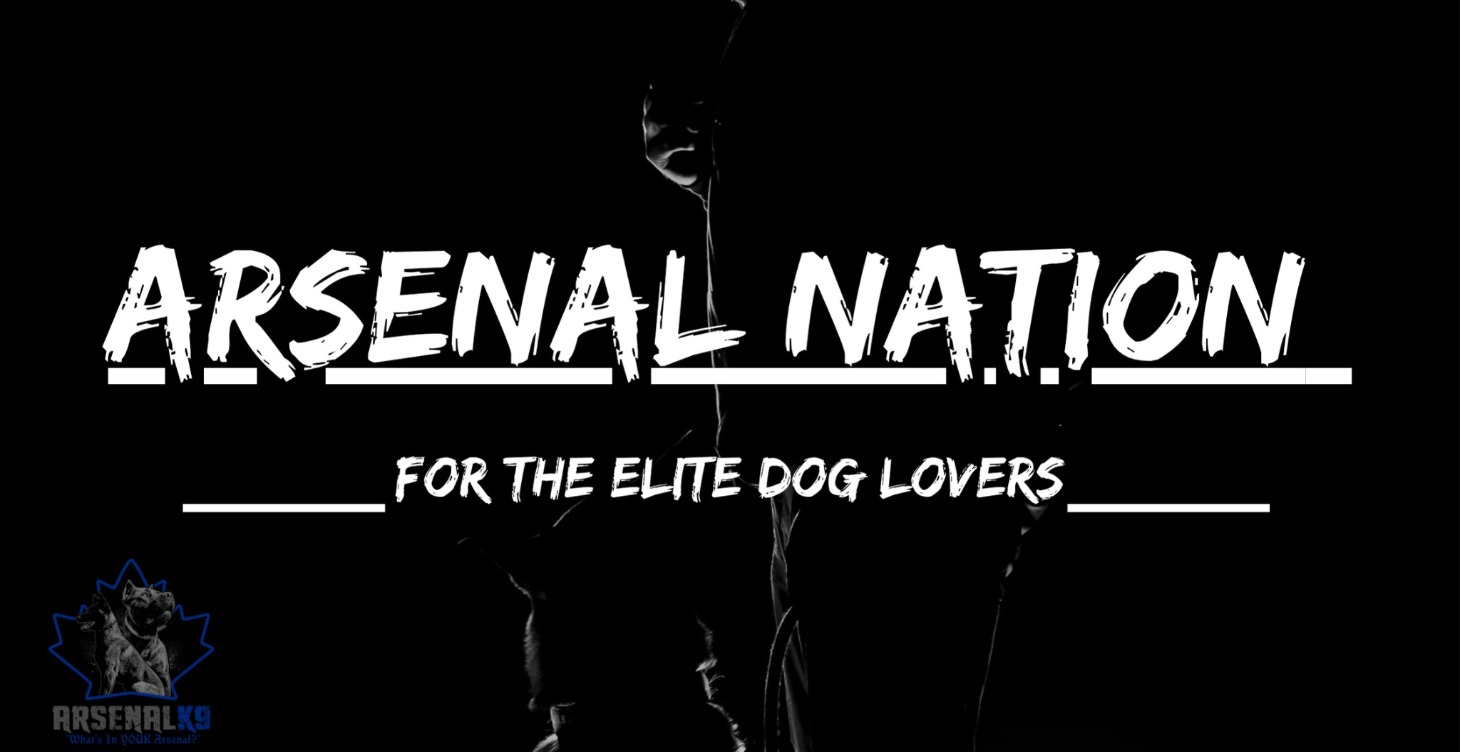 Arsenal Nation Webinars