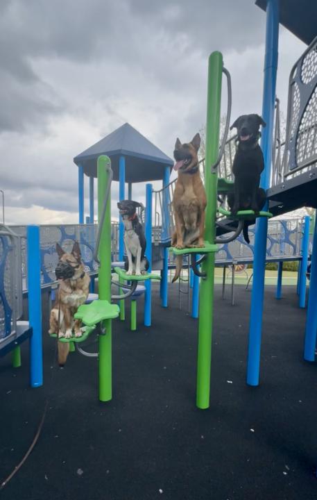 Playground Challenge!!!!!!!! 