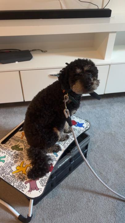 Week 1 at home progress 