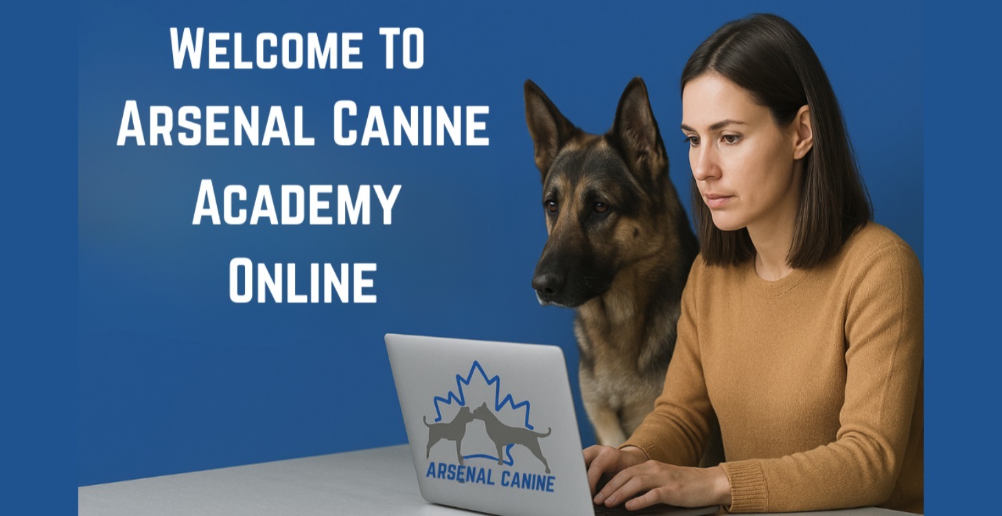 Welcome To Arsenal Canine Academy Online