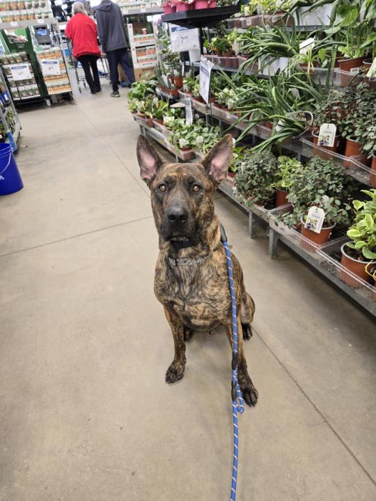 Tucker goes Shopping!