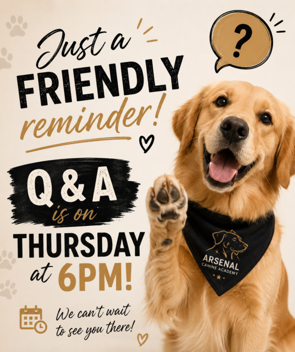 Q and A
