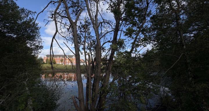 Teen Late Night Help