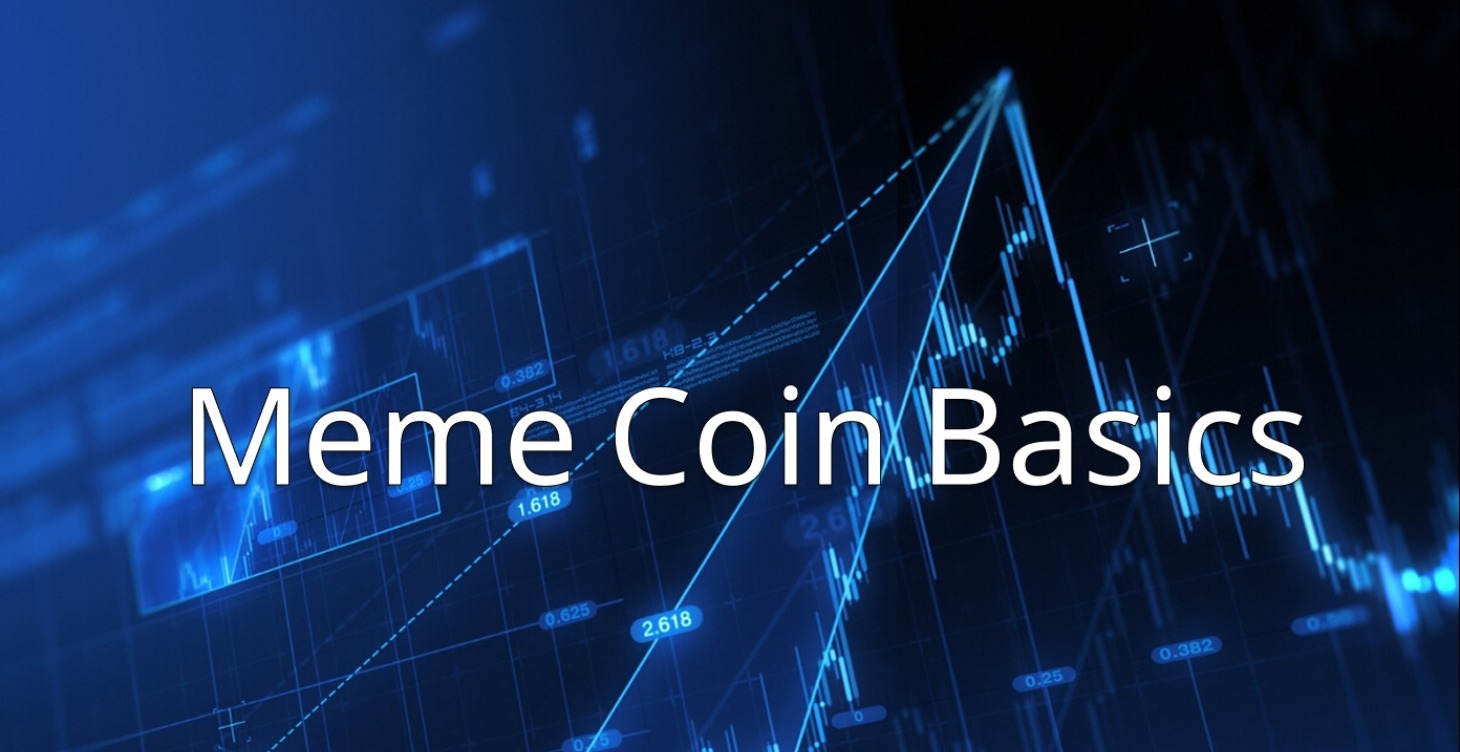 Meme Coin Basics