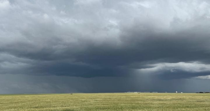 Crop and Critter College