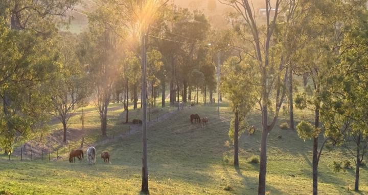 Our Little Farm School