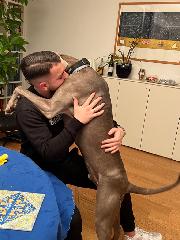 Gigliola Adele Villa