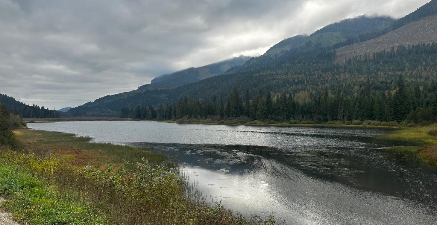 Waste products made into a profitable business