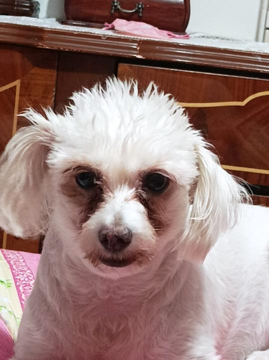 Lesli Ann Hernández Soria