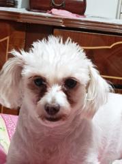 Lesli Ann Hernández Soria
