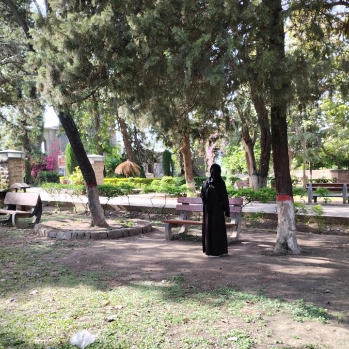Zara Ghalib