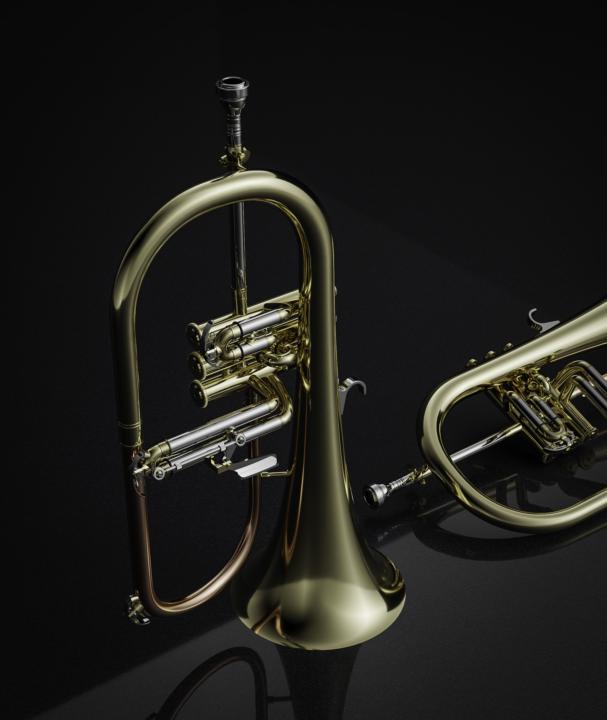 Flugal horn